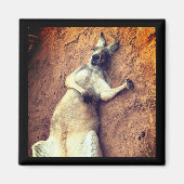 Lazy Days Kangaroo Magnet (Voorkant)