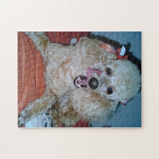 Lazy Day's Legpuzzel (Horizontaal)