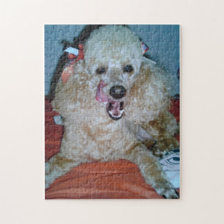 Lazy Day's Legpuzzel