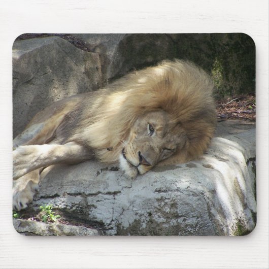 Lazy Days Muismat (Voorkant)