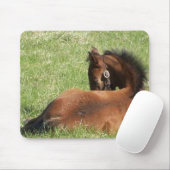 Lazy Days Muismat (Met muis)