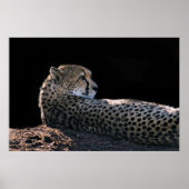 Lazy Days Poster (Voorkant)