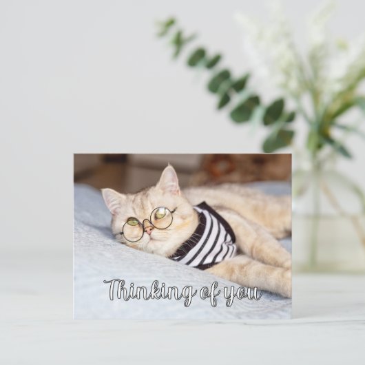 Lazy Days - Schattigee poesje Briefkaart (Staand voorkant)