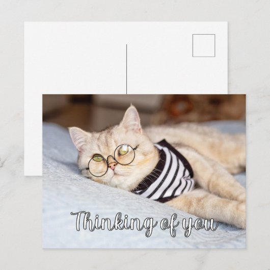 Lazy Days - Schattigee poesje Briefkaart (Voorkant / Achterkant)