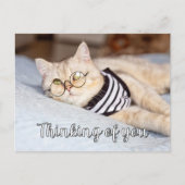 Lazy Days - Schattigee poesje Briefkaart (Voorkant)