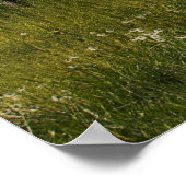 Lazy Dayz Poster (Hoek)