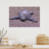 Lazy Dragon Lying Out Poster (Keuken)