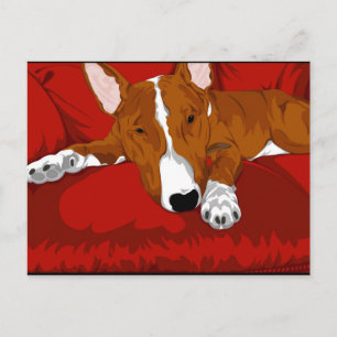 Lazy English Bull Terrier Hondenras Illustration Briefkaart