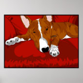 Lazy English Bull Terrier Poster (Voorkant)