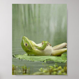 Lazy Frog Poster