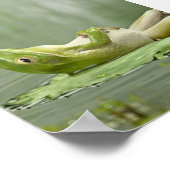 Lazy Frog Poster (Hoek)