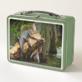 Lazy Gator Cypress Swamp Lunch Box van DeGruy (Voorkant)