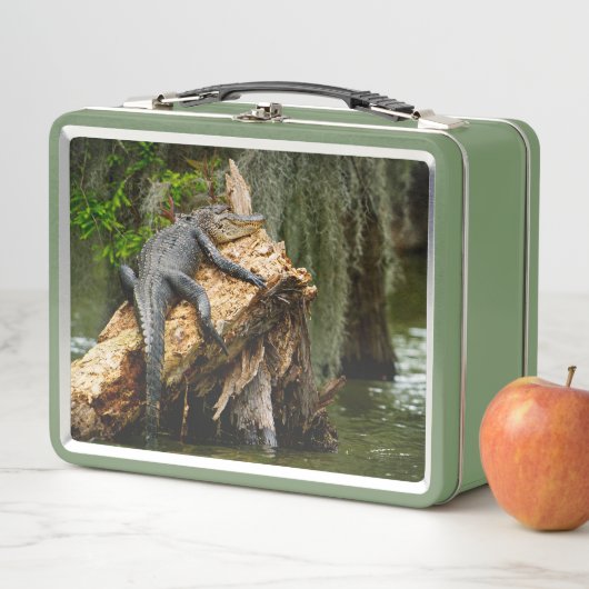 Lazy Gator Cypress Swamp Lunch Box van DeGruy (In situ)