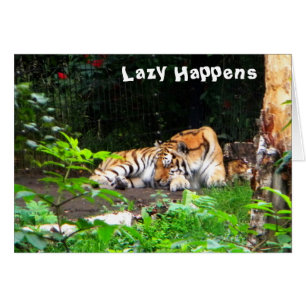 Lazy gebeurt in Siberian Tiger