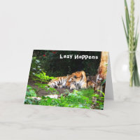 Lazy gebeurt in Siberian Tiger