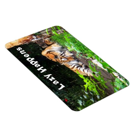 Lazy gebeurt in Siberian Tiger Magneet (Rechterzijde)