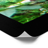 Lazy gebeurt in Siberian Tiger Poster (Hoek)