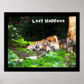 Lazy gebeurt in Siberian Tiger Poster (Voorkant)