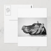 Lazy Hippo Briefkaart (Voorkant / Achterkant)