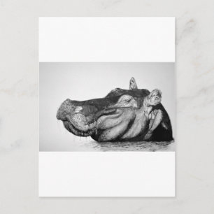 Lazy Hippo Briefkaart