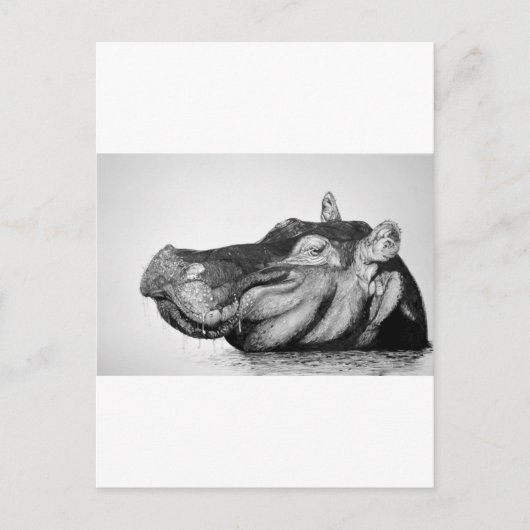 Lazy Hippo Briefkaart (Voorkant)