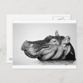 Lazy Hippo Briefkaart (Voorkant / Achterkant)