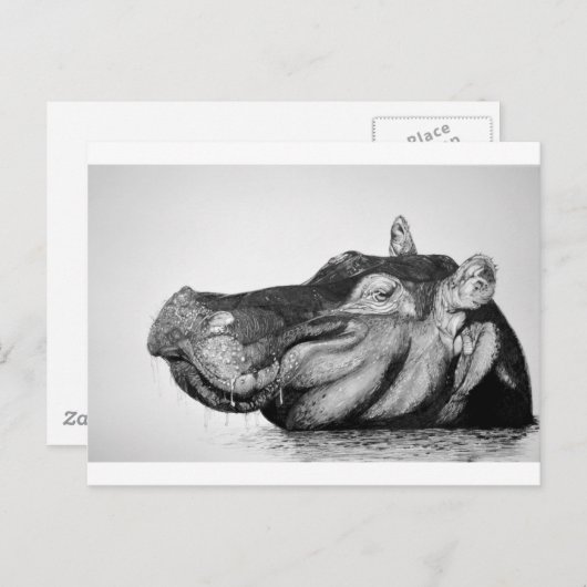 Lazy Hippo Briefkaart (Voorkant / Achterkant)