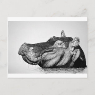 Lazy Hippo Briefkaart