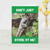 "LAZY IGUANA" KRIJGT ADVIES OP UW BIRTHDAY KAART (Gele Bloem)