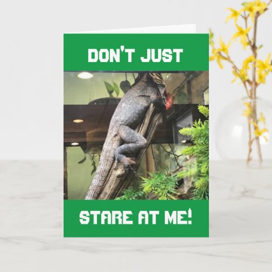 "LAZY IGUANA" KRIJGT ADVIES OP UW BIRTHDAY KAART (Gele Bloem)