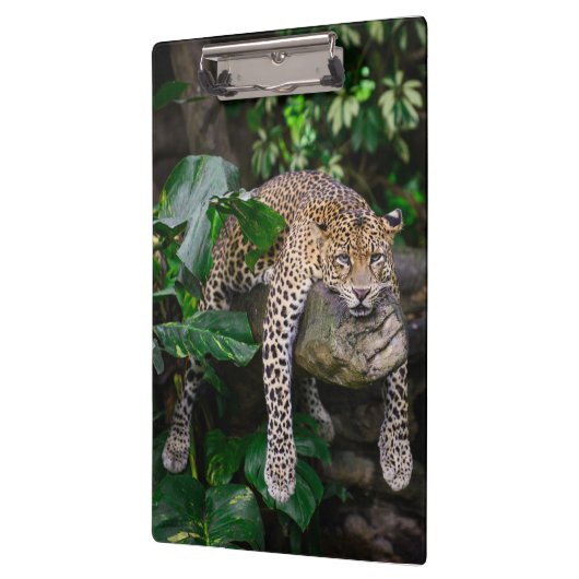 Lazy leopard klembord (Links)