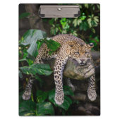 Lazy leopard klembord (Voorkant)
