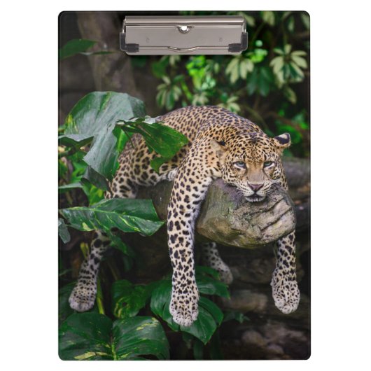 Lazy leopard klembord (Voorkant)
