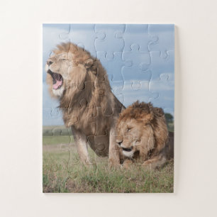 Lazy Lion Brothers op de Savannah Legpuzzel