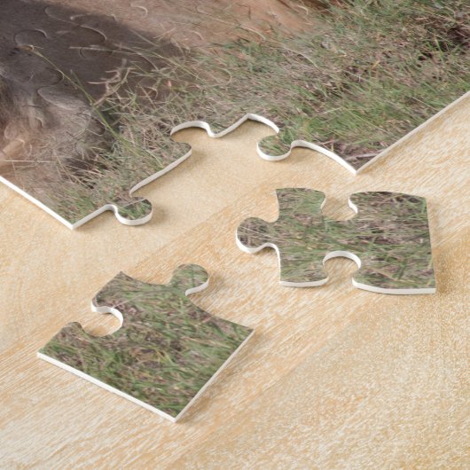 Lazy Lion Brothers op de Savannah Legpuzzel (Zijkant)