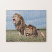 Lazy Lion Brothers op de Savannah Legpuzzel (Horizontaal)