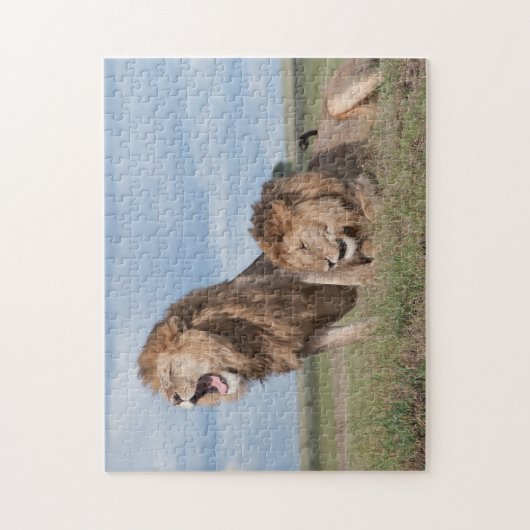 Lazy Lion Brothers op de Savannah Legpuzzel (Verticaal)