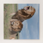 Lazy Lion Brothers op de Savannah Legpuzzel (Horizontaal)
