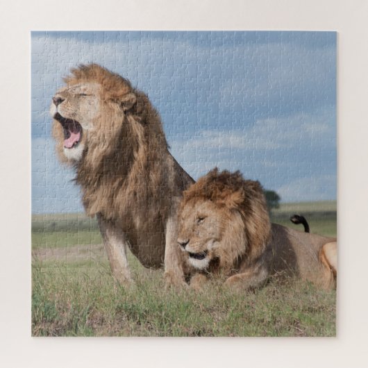 Lazy Lion Brothers op de Savannah Legpuzzel (Verticaal)