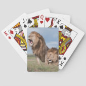 Lazy Lion Brothers op de Savannah Pokerkaarten (Achterkant)