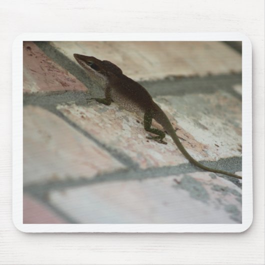 Lazy Lizard Muismat (Voorkant)