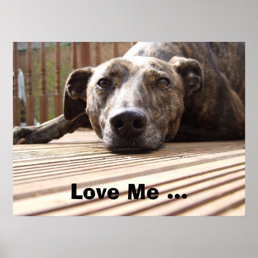 Lazy Lurcher Poster (Voorkant)