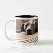 Lazy Lurcher Tweekleurige Koffiemok (Links)