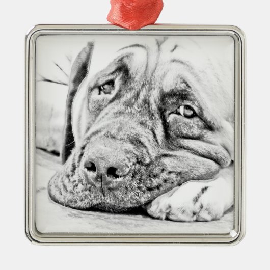 Lazy Mastiff Metalen Ornament (Voorkant)