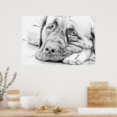 Lazy Mastiff Poster (Keuken)