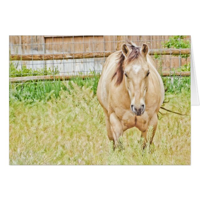 Lazy Morning (Voorkant Horizontaal)