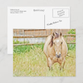 Lazy Morning Briefkaart (Voorkant / Achterkant)