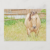 Lazy Morning Briefkaart (Voorkant)