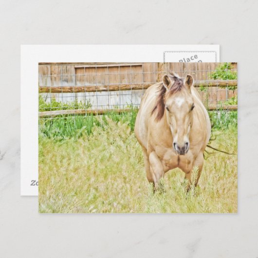 Lazy Morning Briefkaart (Voorkant / Achterkant)