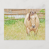 Lazy Morning Briefkaart (Voorkant)